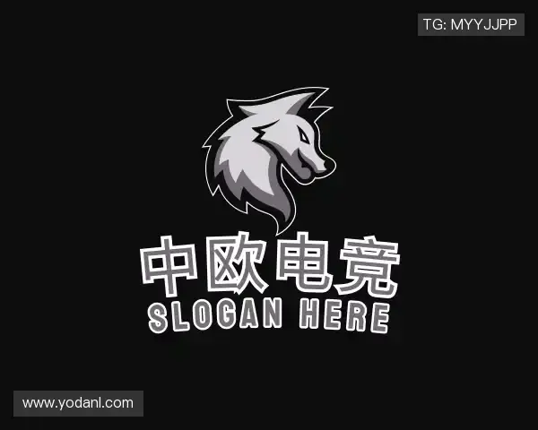 了解中欧电竞